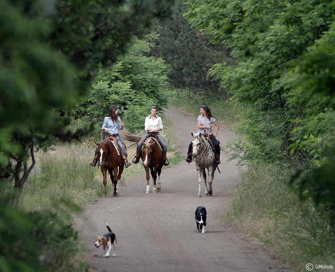 El Bronco Working Ranch Izsák Εξωτερικό φωτογραφία