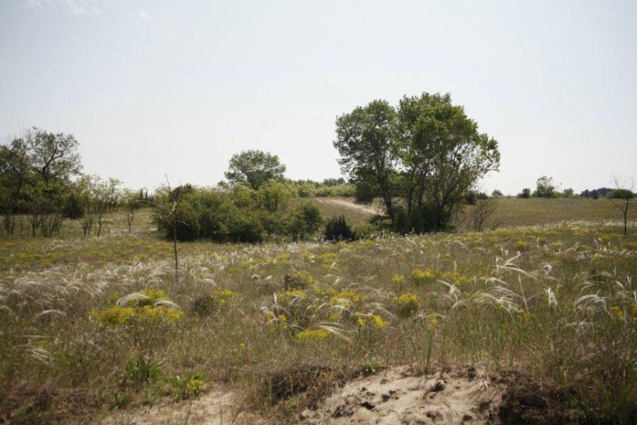 El Bronco Working Ranch Izsák Εξωτερικό φωτογραφία