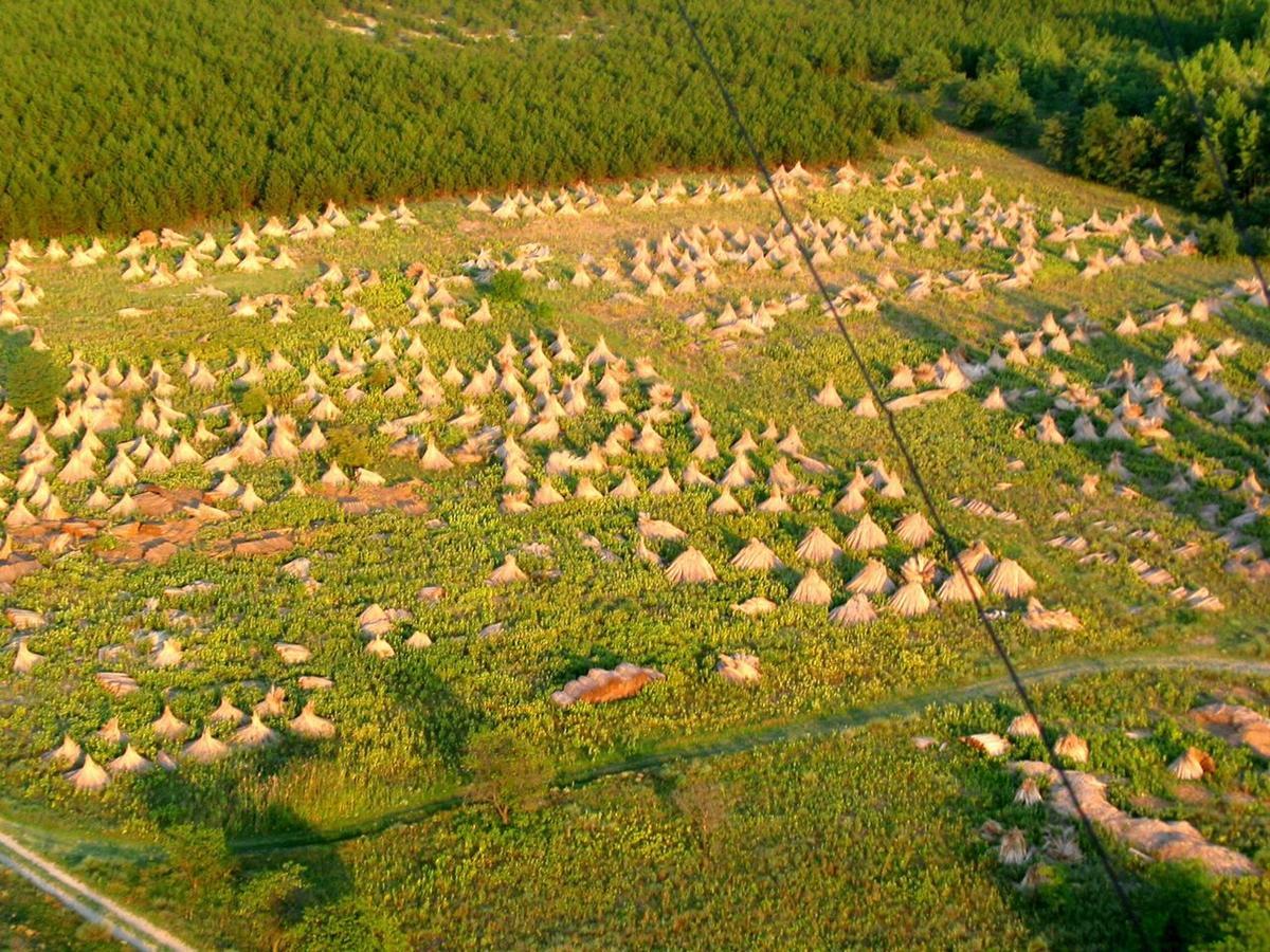 El Bronco Working Ranch Izsák Εξωτερικό φωτογραφία